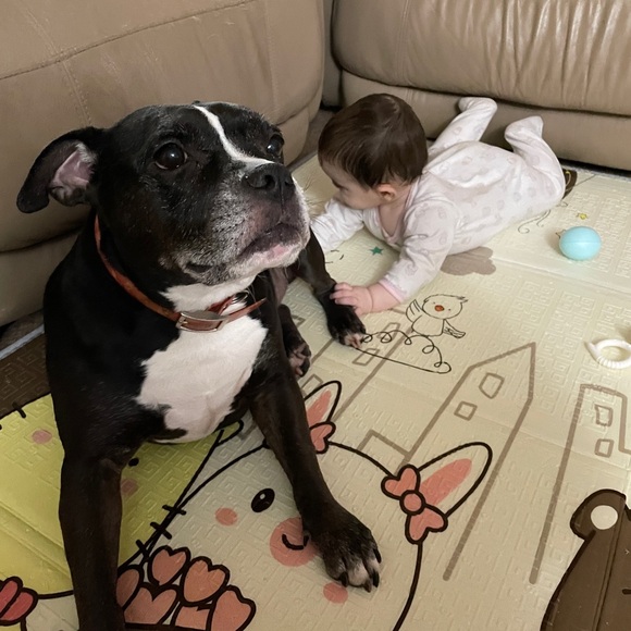 🧜🏼‍♀️ Meet Your Posher! 🦩 - Picture 9 of 10